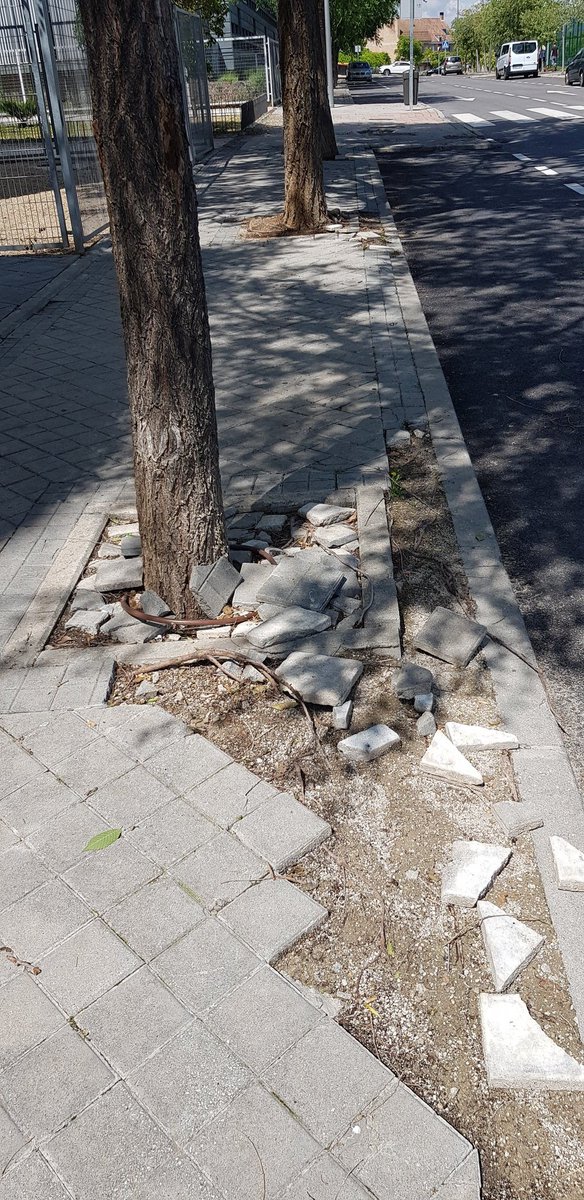 Julio_Alfonso's tweet photo. @Lineamadrid @Munimadrid_es Buenos días. La acera de los pares de la c/Playa del Bolnuevo, en el tramo entre las calles Playa de la Valeta y Playa de Poniente, en el distrito de Barajas, se encuentra en un estado lamentable. https://t.co/bYS4f5V3Cj