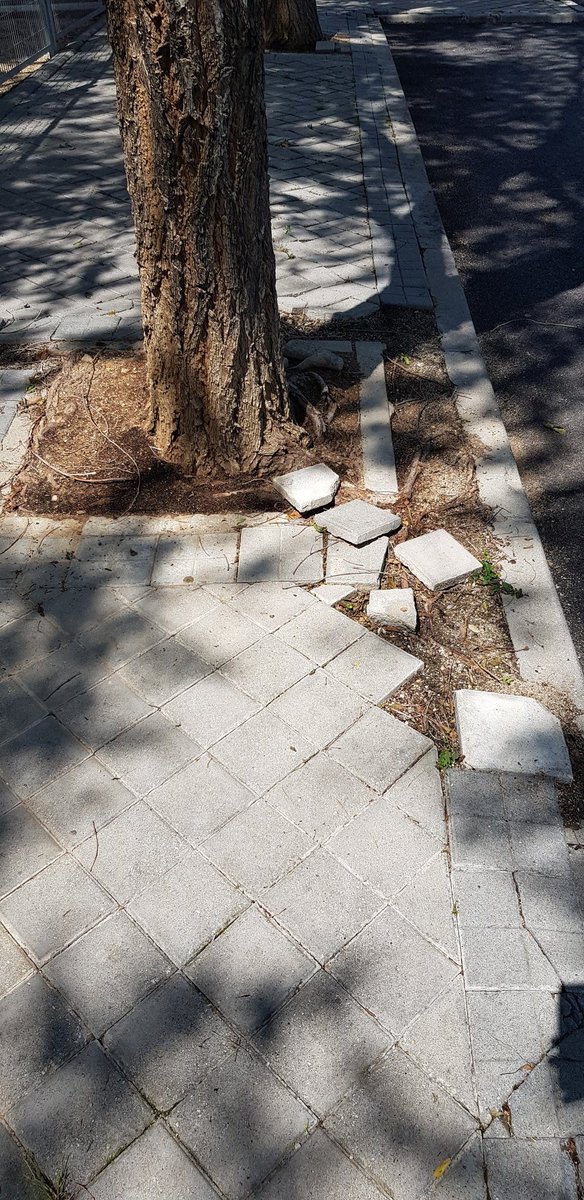 Julio_Alfonso's tweet photo. @Lineamadrid @Munimadrid_es Buenos días. La acera de los pares de la c/Playa del Bolnuevo, en el tramo entre las calles Playa de la Valeta y Playa de Poniente, en el distrito de Barajas, se encuentra en un estado lamentable. https://t.co/bYS4f5V3Cj