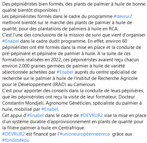 Enabel_en_RCA's tweet photo. Les pépiniéristes formés dans le cadre du programme #DevrurII mettront bientôt sur le marché des plants de palmier à huile de qualité, pour des plantations de palmiers à huile en RCA.
#DevrurII est financé par l’#UEenRCA grâce aux #fondsbêkou https://t.co/kfXYL0GdCR