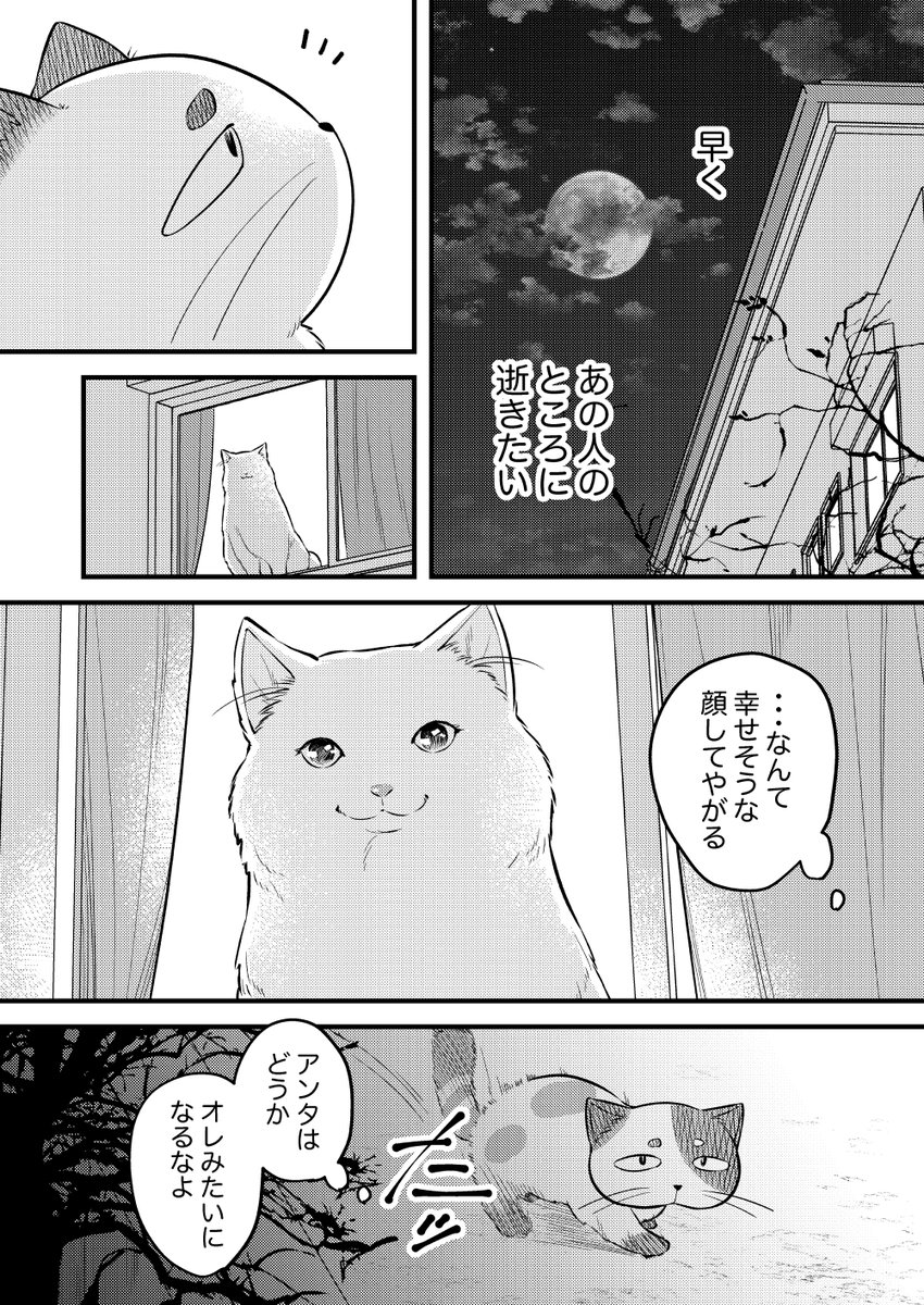 【創作漫画】100年生きた猫のはなし(2/6)