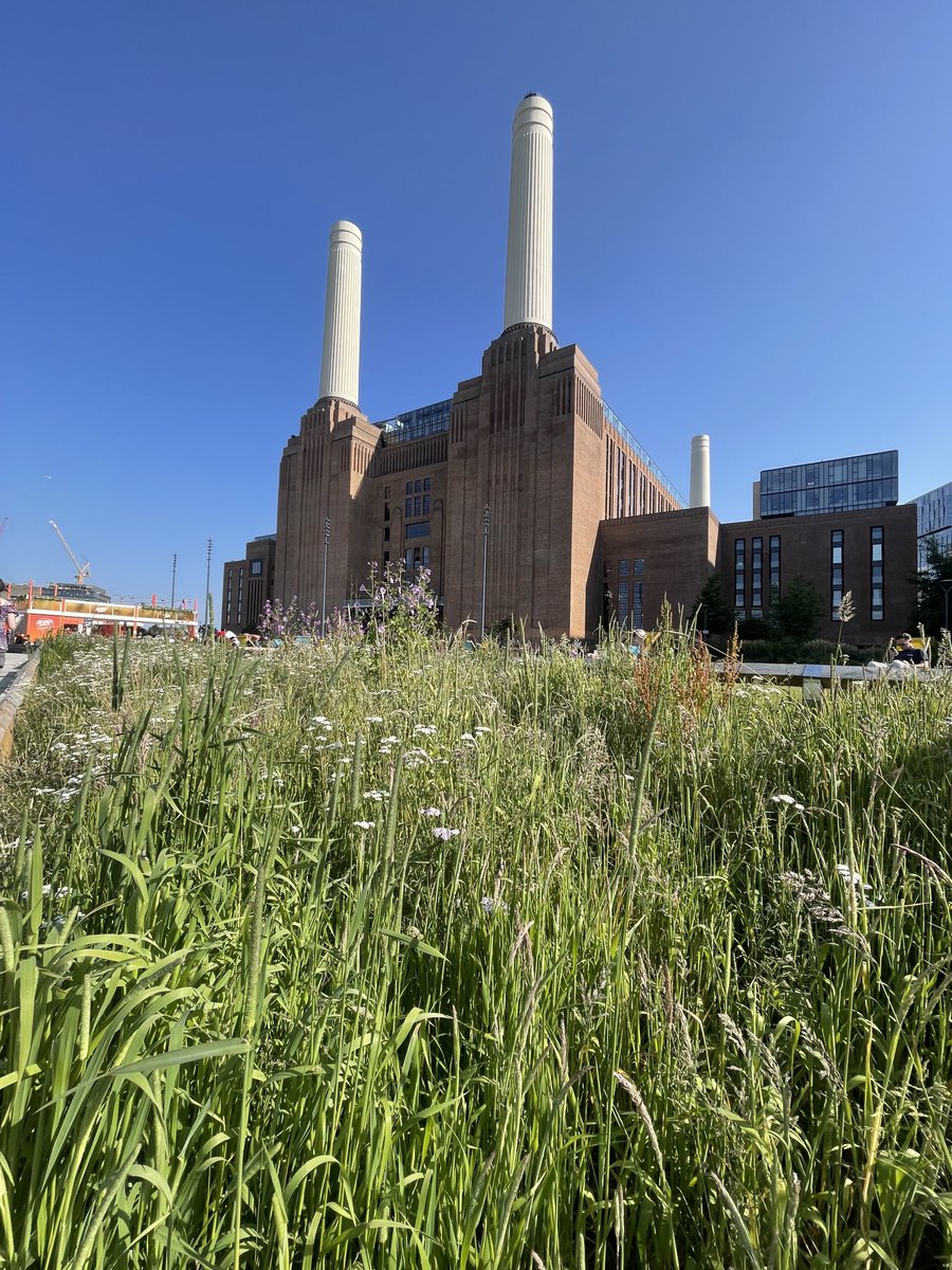 ShaunKiddell's tweet photo. Finally got to visit Prospect Park surrounding Battersea Power Station. One of London’s newest parks. Impressive planting with much bee and pollinator friendly planting. #parksmatter #helpingnaturethrive https://t.co/bVsMrD0kXq