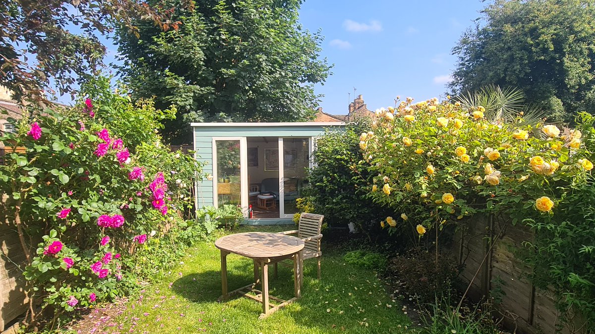 Mike Harris tweet media