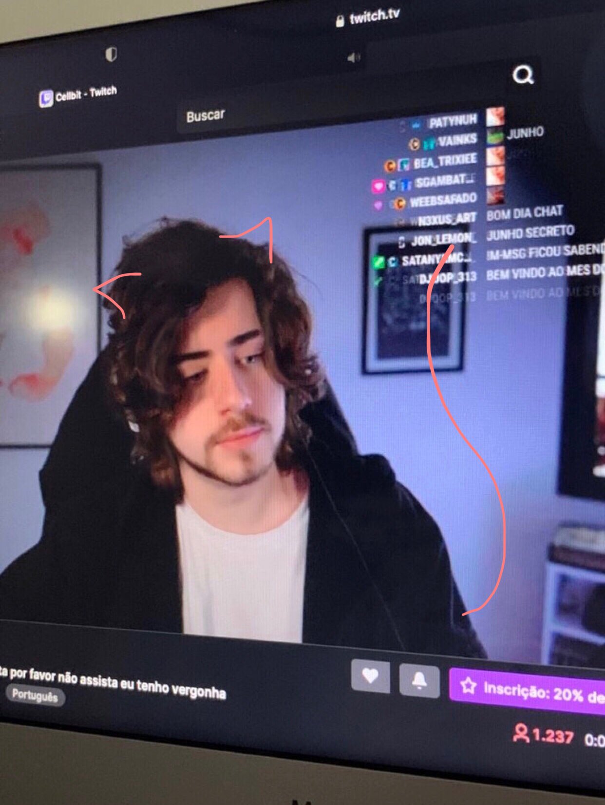 PedroLoos - Twitch