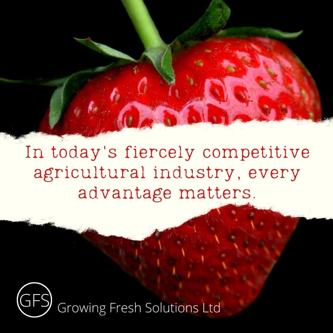 At Growing Fresh Solutions Ltd, we help farm teams and managers worldwide struggling to structure their growth and increasing complexity.

#Horticulture #Agriculture #Farming #FoodAndBeverage #VentureCapital #DevelopingCountries #DevelopingPeople #FoodSecurity #Africa