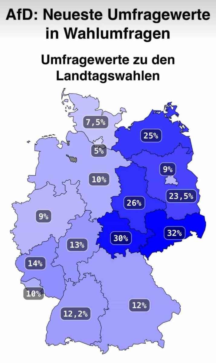Wir müssen eine Mauer bauen!
#fckafd #fckafdwähler #fckafdfcknzs #fcknzs #stolzmonat