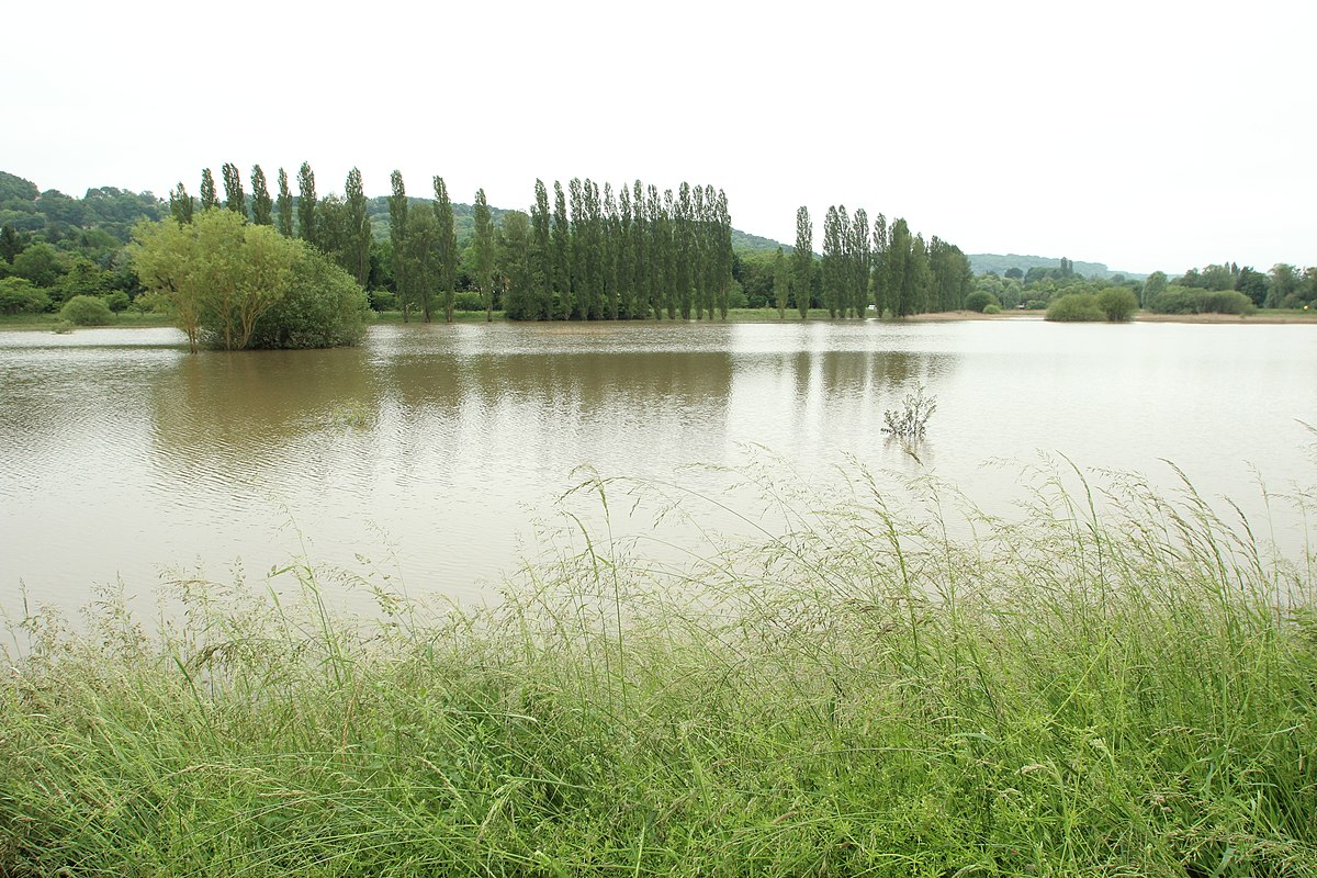 agglopariSaclay's tweet photo. #Balade 🚴‍♀️ Une jolie randonnée à vélo, contrastée en paysages et reliefs, ça vous tente ?

Voici en quelques images ce qui vous attend pour l'itinéraire 1, proposé gratuitement par l'agglo et la MDB lors des Olympiades Paris-Saclay, dimanche 11 juin 👉  https://t.co/TFeyrXCbAM https://t.co/O2QK4J3lxY