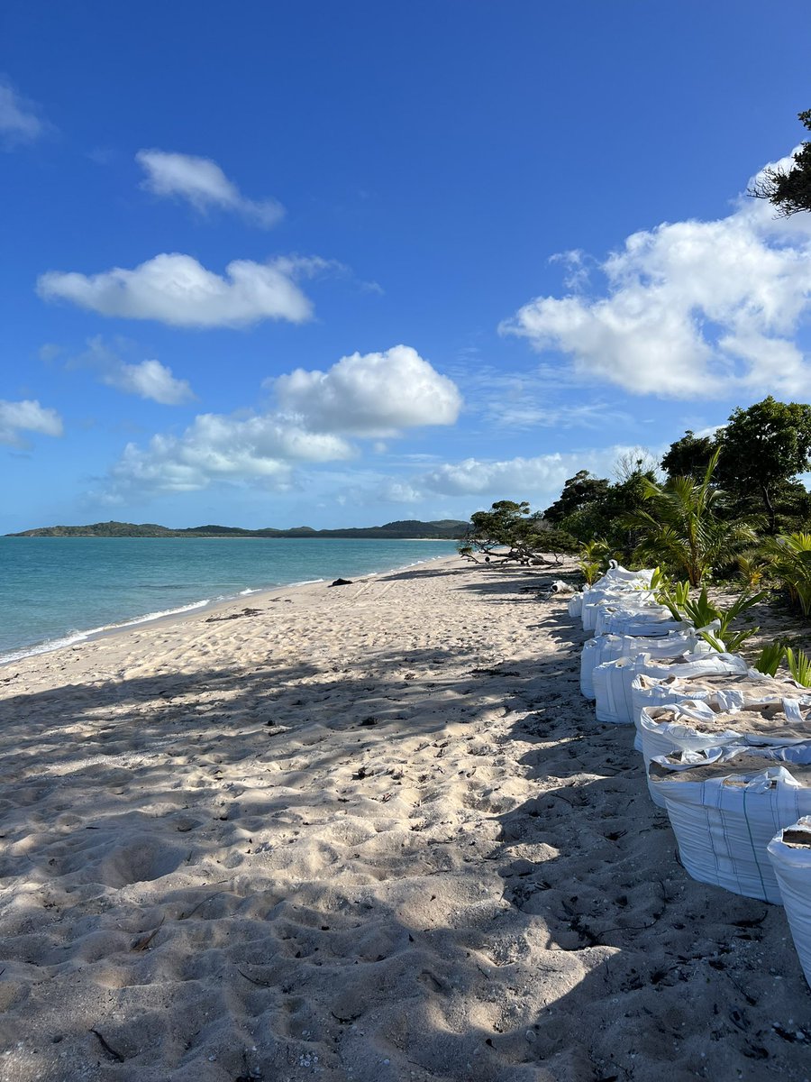 Fi McLeod AO SC tweet media