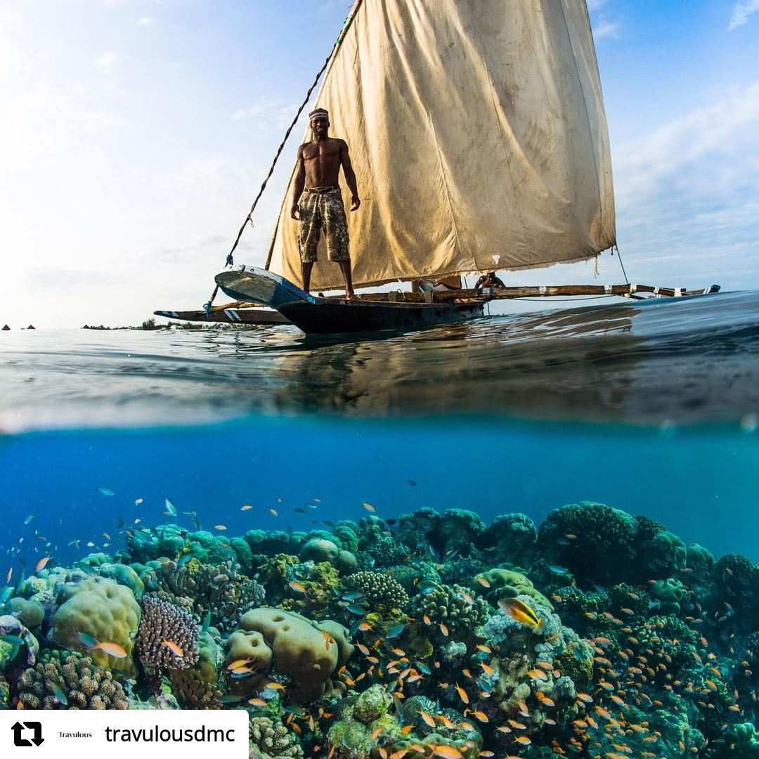 #Repost @travulousdmc with <a href="/let/">let</a>.repost 
• • • • • •
The perfect way to end your East African safari should always include a visit to the Spice Islands of the Zanzibar Archipelago. #tanzania #zanzibar #travelandtourism #travelindustry #travelagent #touroperator #travulous