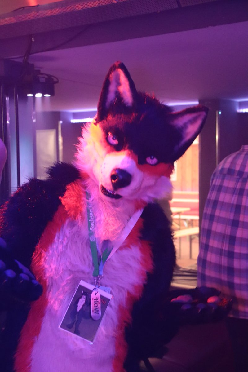 Tayron Blackwolf (@tayronblackwolf) on Twitter photo Happy #FursuitFriday :3
it is time again :3
The Time Running fast :o
Ort: NFD 10 (Hamburg)
Foto von: NikiDevilsRoo
Suitmaker from me:
<a href="/DireCreatures/">DireCreatures</a> Happy #FursuitFriday :3
it is time again :3
The Time Running fast :o
Ort: NFD 10 (Hamburg)
Foto von: NikiDevilsRoo
Suitmaker from me:
<a href="/DireCreatures/">DireCreatures</a>
