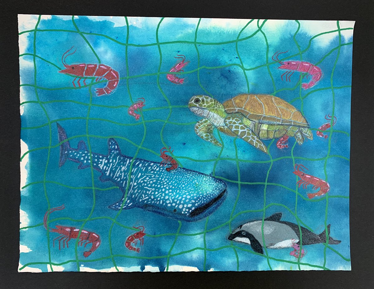 MrsRamosVirley's tweet image. Fantastic results from the final Grade 8 art project based on the theme of ‘endangered’ #drawing #creativity #artteaching #artteacher #artED #endangered