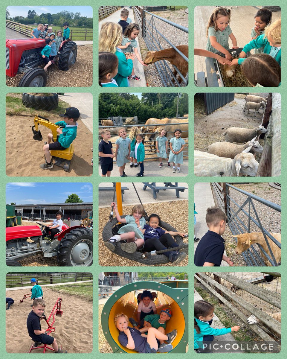 LakesidePrmRec's tweet photo. What a fabulous day at the farm 🐐 🐄 🐎👍 https://t.co/0WRgOvznhQ
