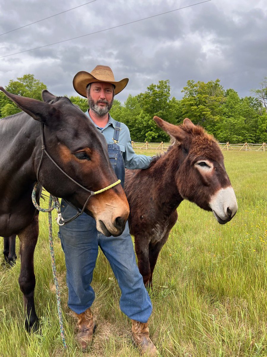 Tom Green tweet media