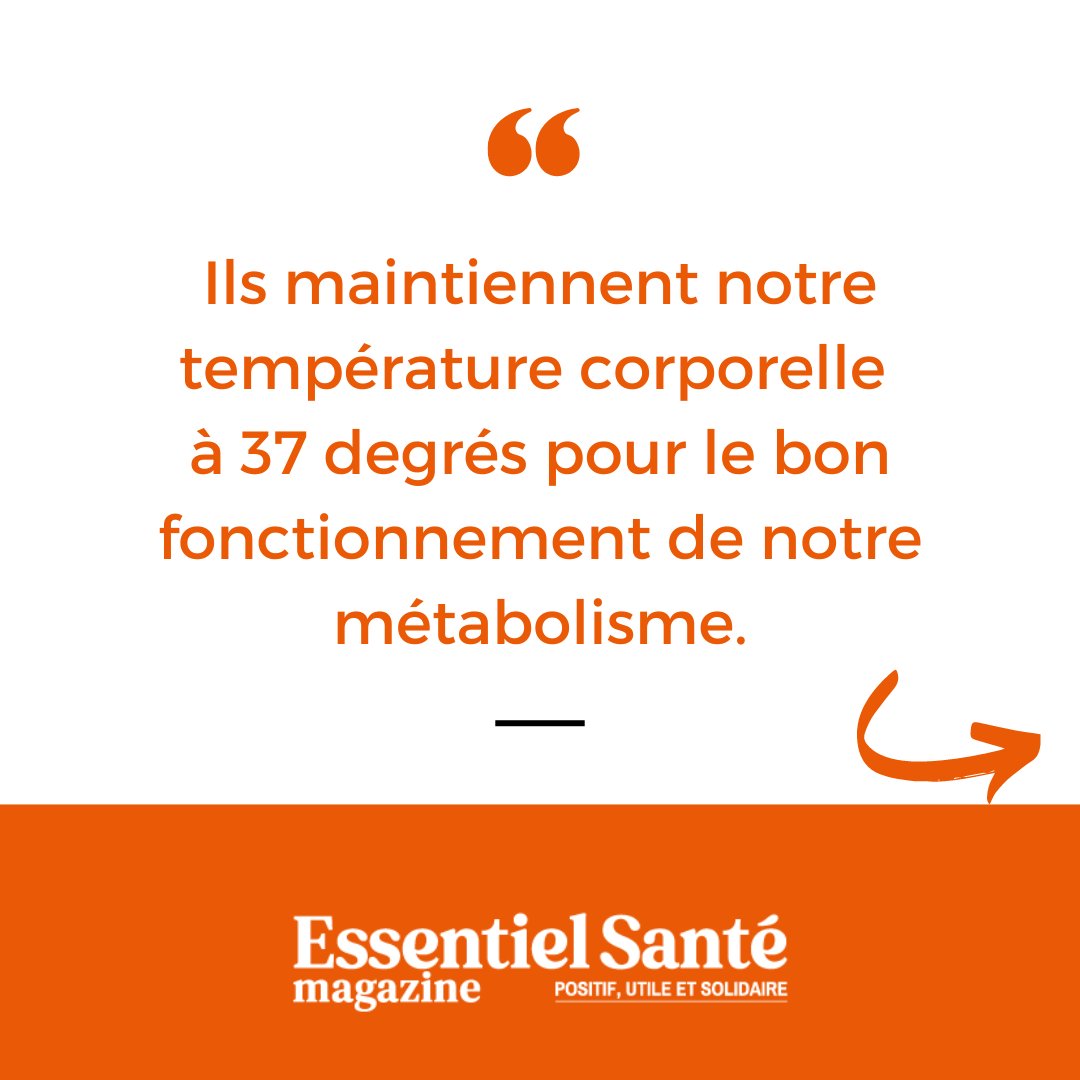 Harmonie Santé, le média qui prend soin de vous tweet media