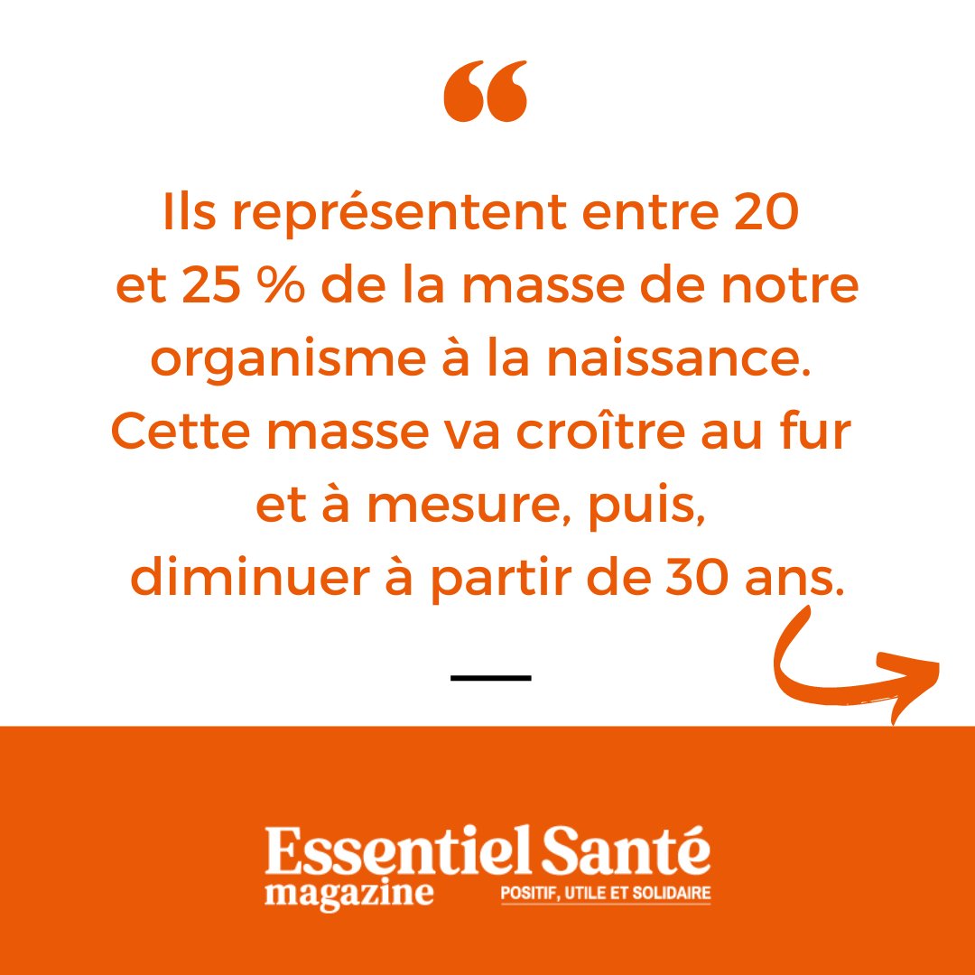 Harmonie Santé, le média qui prend soin de vous tweet media
