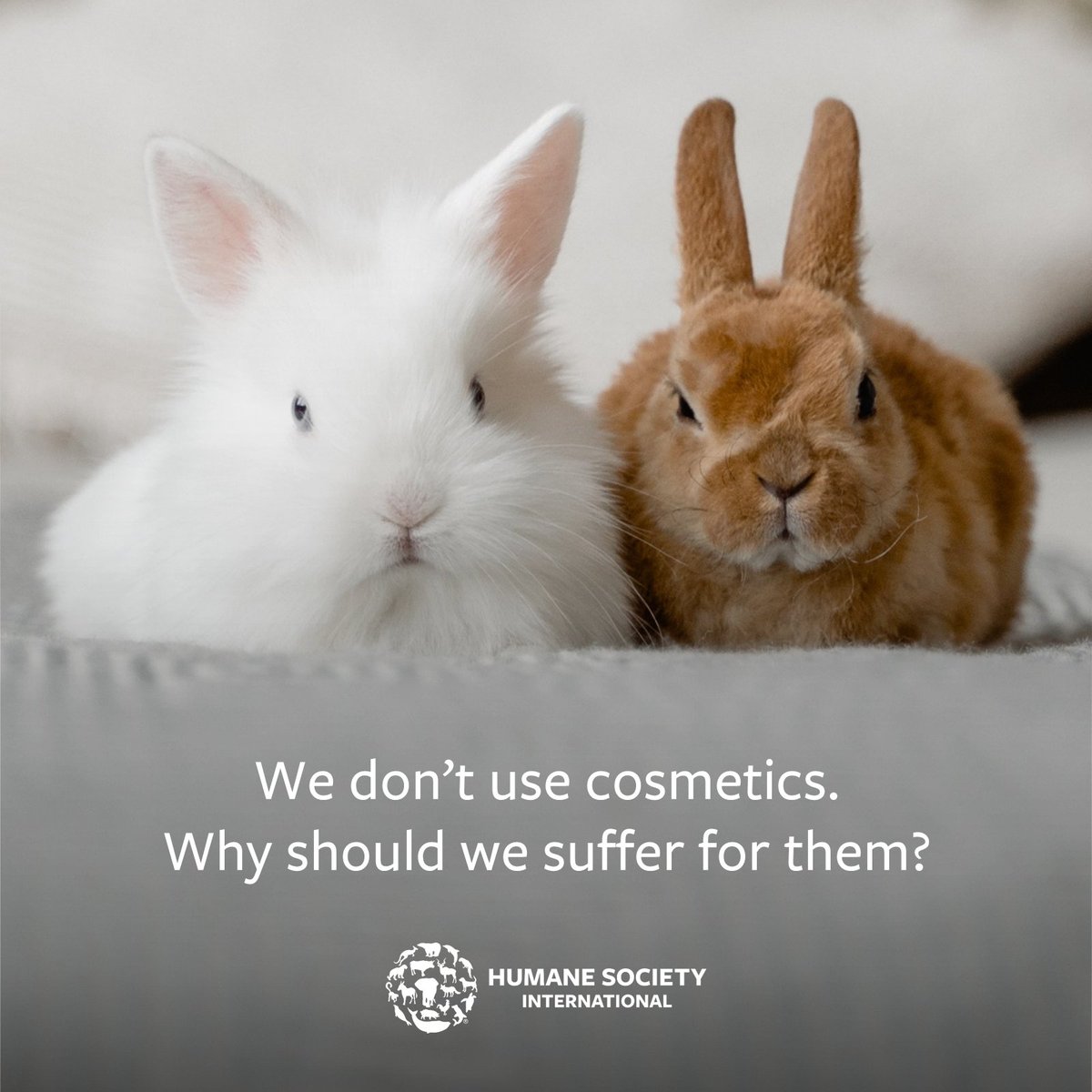 humaneworldeat's tweet photo. As beauty brands move away from animal testing, it's easier than ever to find #crueltyfree cosmetics. π§Όπ§΄π
Download @LeapingBunny's Cruelty-Free App to get the latest updates! π°π² https://t.co/dTn6AppJ2E
#ShopWithIntention #BeCrueltyFree https://t.co/RYUEzrhVMm
