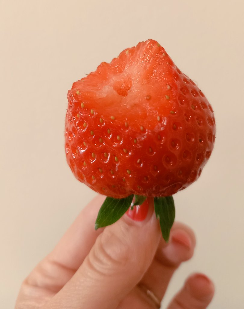 Like a rose 🌹❤️
Love #scottishstrawberries 🍓