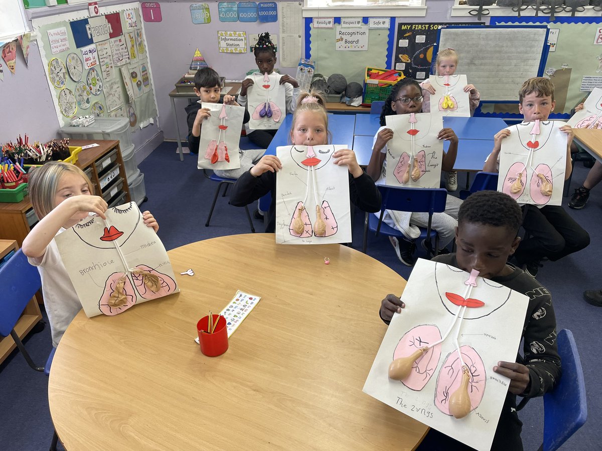 MissAndersonWS's tweet photo. We had a fun afternoon learning all about how the lungs work 🫁😮‍💨😀@woodside_school https://t.co/CLk4pdXRxj