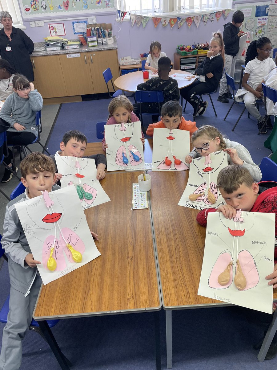MissAndersonWS's tweet photo. We had a fun afternoon learning all about how the lungs work 🫁😮‍💨😀@woodside_school https://t.co/CLk4pdXRxj