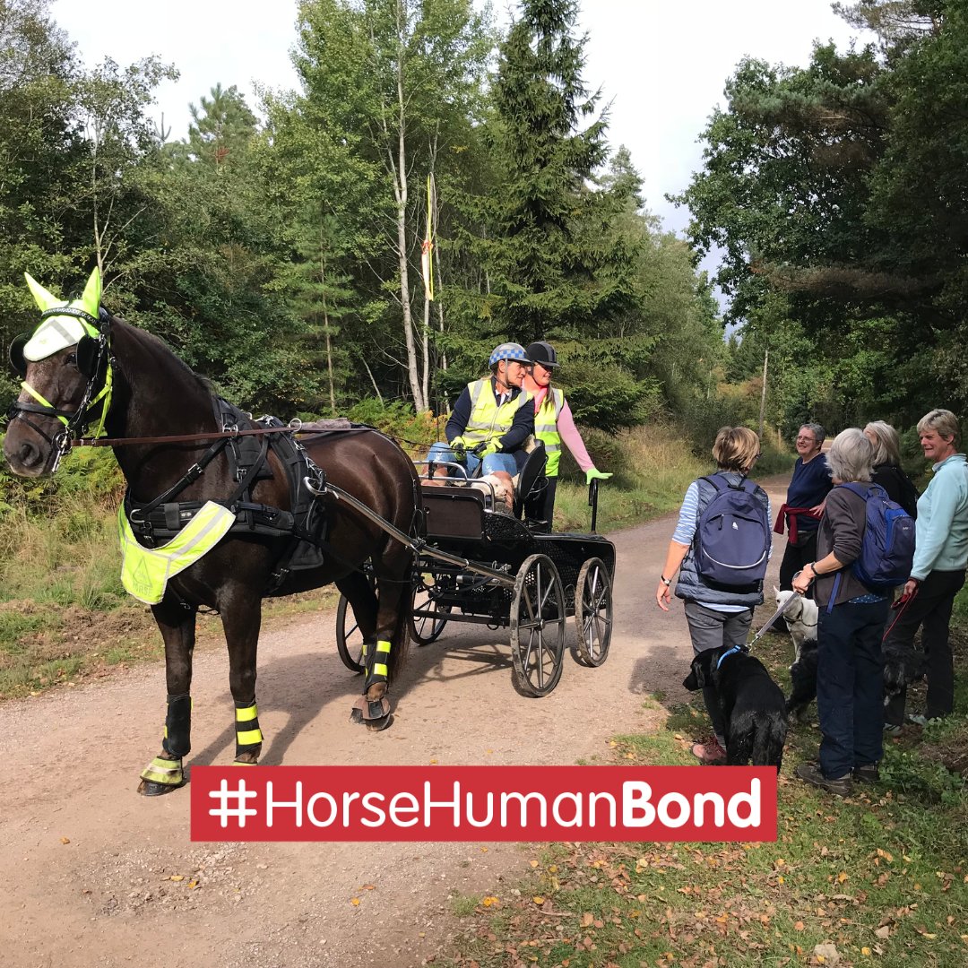 🤝❤️ Horses have a way of forging connections that last a lifetime. 

📸🐴 All riders and carriage drivers, share a photo or video that represents your unbreakable #HorseHumanBond