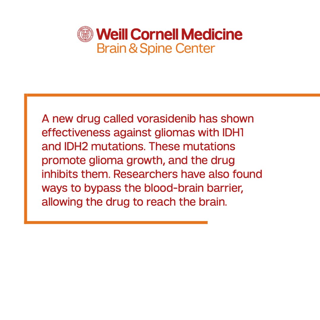 DrPhilipStieg's tweet photo. Exciting news for brain tumor research! A new drug called vorasidenib has shown promising results against gliomas with IDH1 and IDH2 mutations, which are the most common brain cancers in younger patients. 

https://t.co/sVWFVoqd3l

#BrainTumorResearch #Vorasidenib #IDHmutations https://t.co/qKJK3fnudj