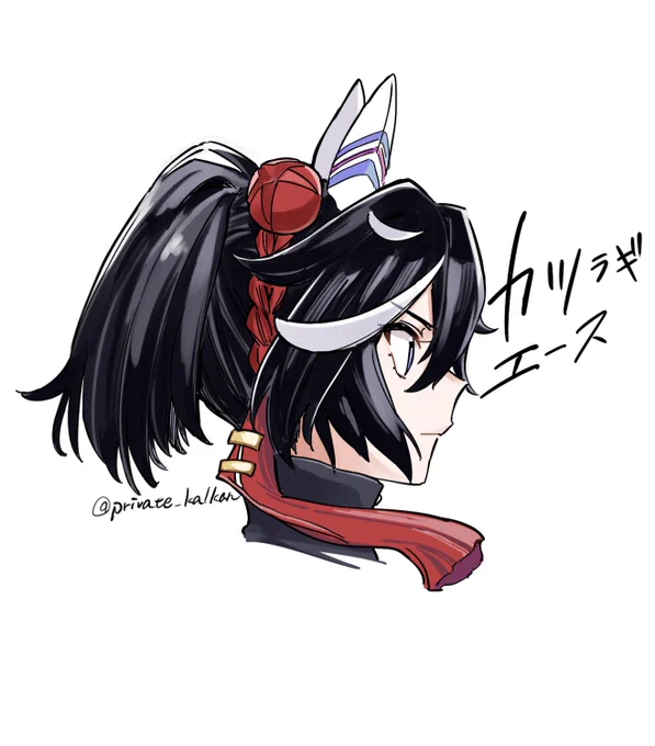 キャラリクその3、カツラギエース