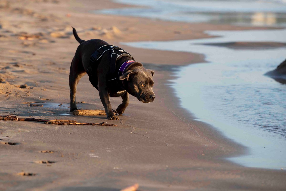 Kirsty Edmonds 💙 tweet media