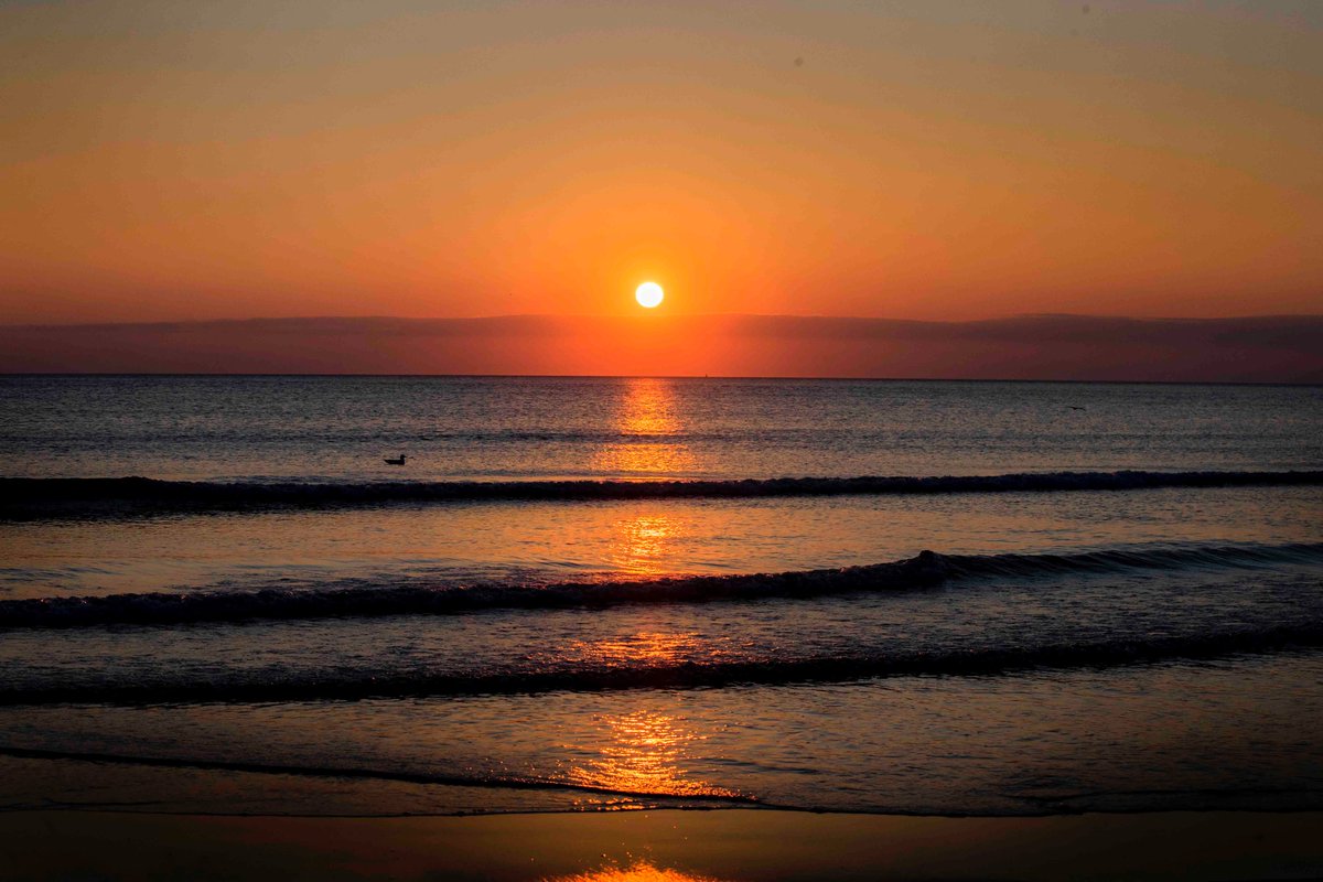 Kirsty Edmonds 💙 tweet media