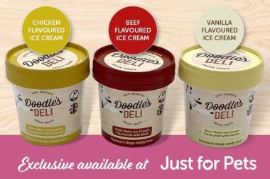 Just for Pets launches delicious 'meaty' ice cream for dogs - rugbyobserver.co.uk/lifestyle/just…