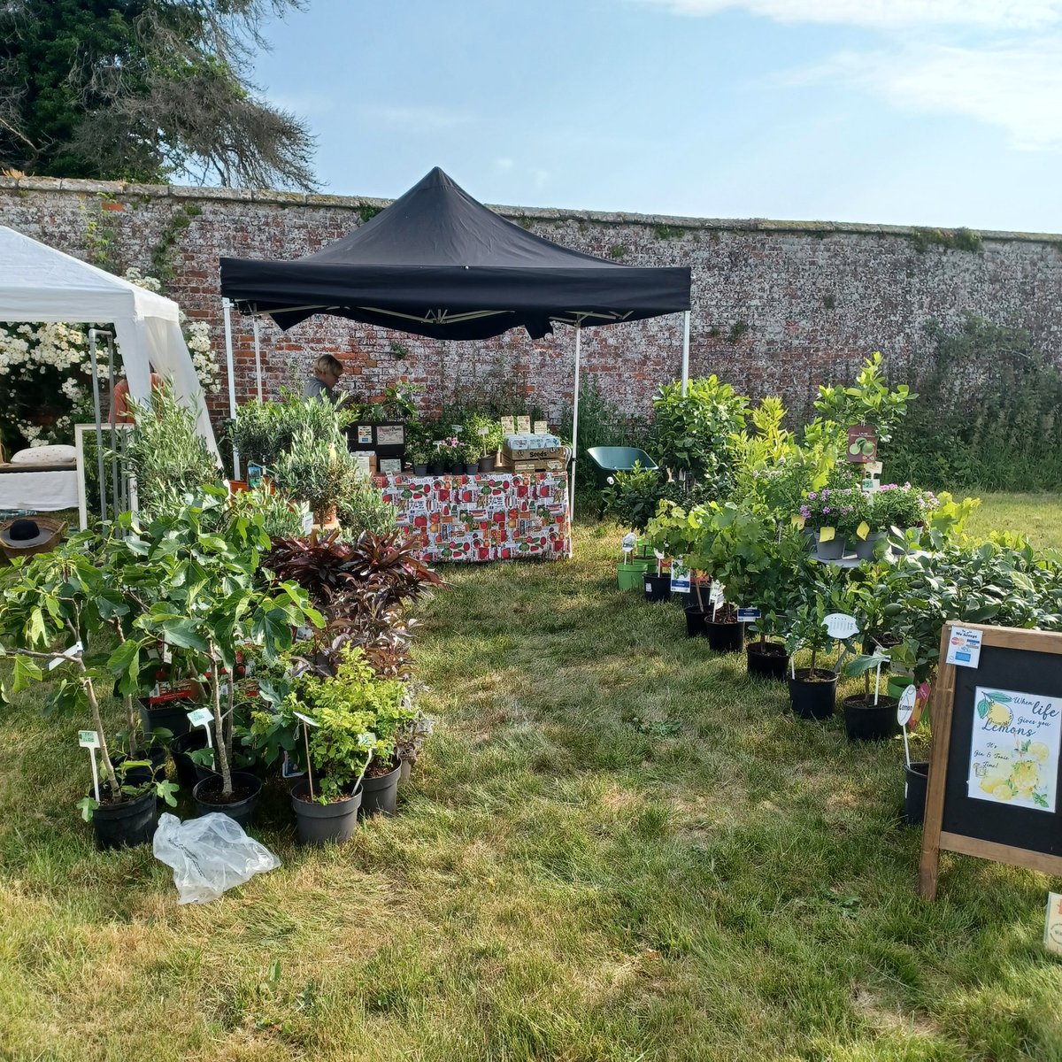 All set <a href="/countrybrocante/">The Country Brocante</a> fair Roundhill Grange near Bruton