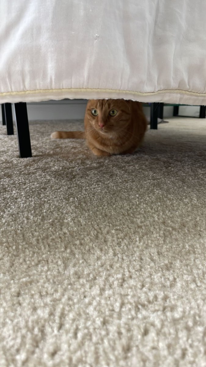 cheddarboibite's tweet photo. safe blace https://t.co/wyd4Z0pNuz