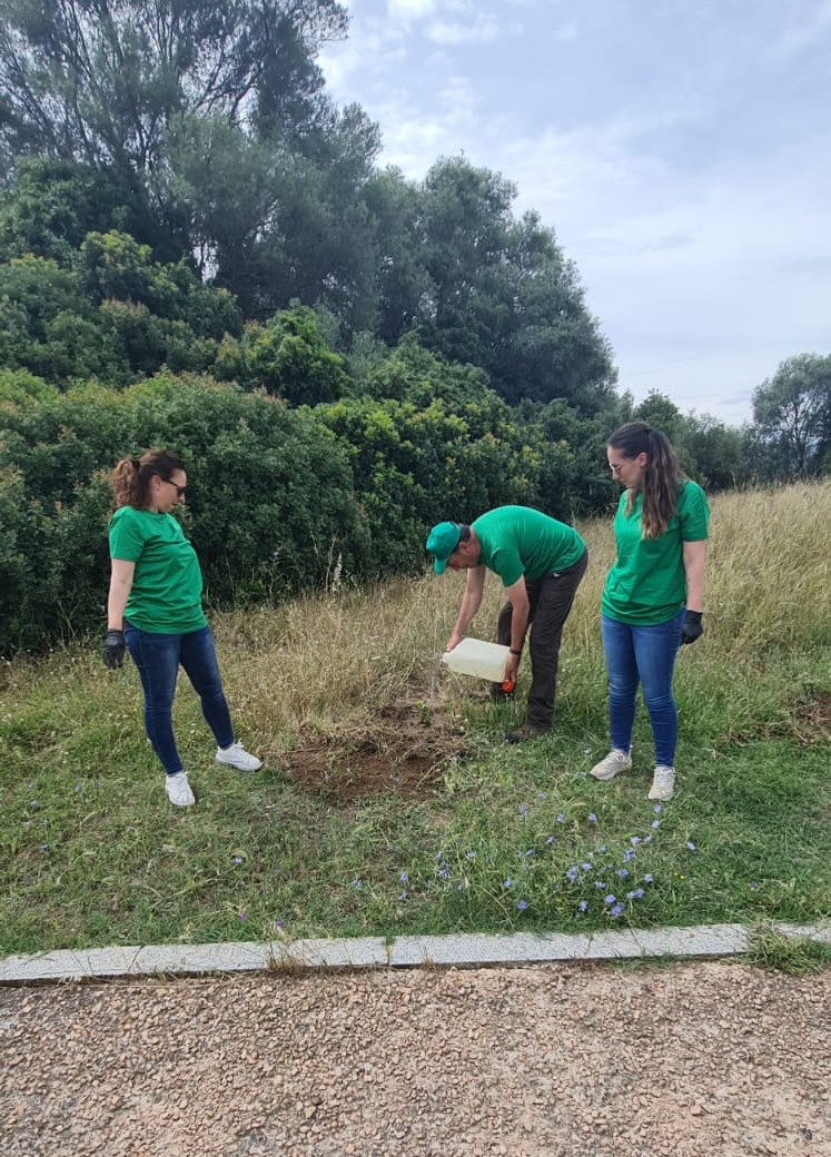 fai_cisl's tweet photo. 🌳🌎🌱 #ambiente, prosegue la campagna #FaiCisl #faibellalitalia in questo venerdì #9giugno anche i dirigenti #FaiCisl #Sardegna con molti volontari impegnati per un intervento di riqualificazione nell'area del Castello di Pedres a #Olbia. 
#WorldEnvironmentDay 
#ClimateStrike https://t.co/6LIEzDLuvZ