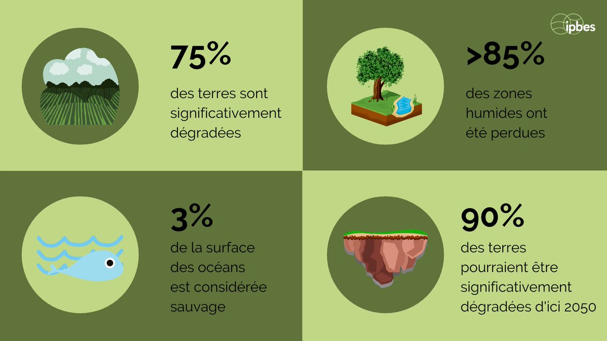 💥La #nature se détériore à un rythme &amp; à une échelle sans précédent dans l'histoire de l'humanité.

1 million d'espèces de plantes &amp; d'animaux sur env. 8,1 millions d'espèces sont menacées d'extinction.🥀🐾

—Évaluation mondiale de l'<a href="/IPBES/">ipbes</a> 

FR ipbes.net/sites/default/…