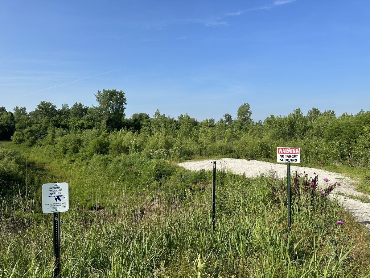 _WI5D's tweet photo. Activating K-0374 Big Muddy NWR today. 14.049 #cw #pota #parksontheair https://t.co/mipKfl1vEp