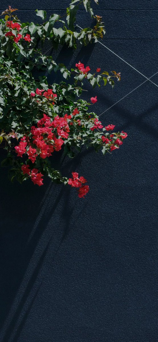 Stop trying to find a rewind  <a href="/Max57075/">Max</a>  <a href="/Lowell1126/">Lowell</a>  <a href="/Spirite42/">Spirited</a>