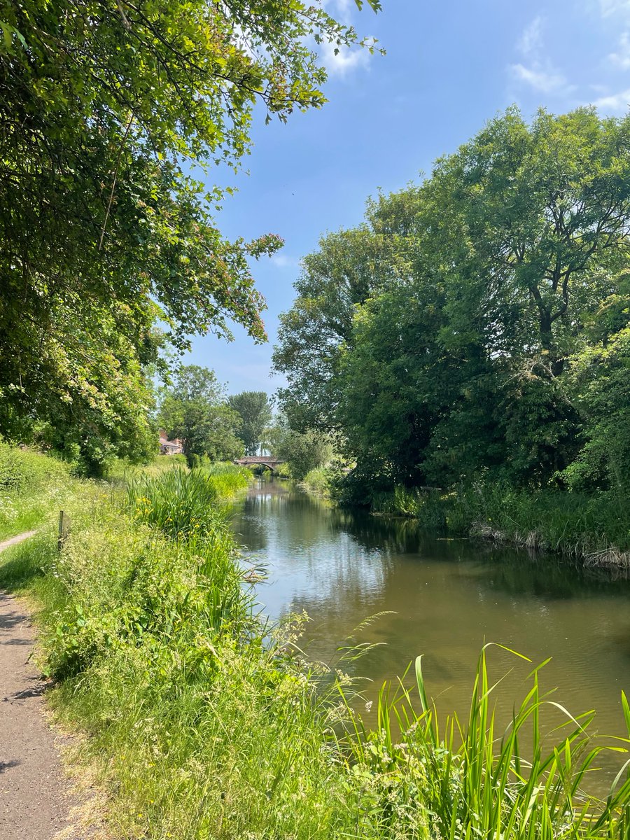 Research has shown that #GreenExercise 'exercising in the presence of #nature ' can have positive impacts on #psychological and #physical #healthandwellbeing. Get out with family and friends, just remember to keep #hydrated and follow the #WaterSafety rules! #fitness #firefit