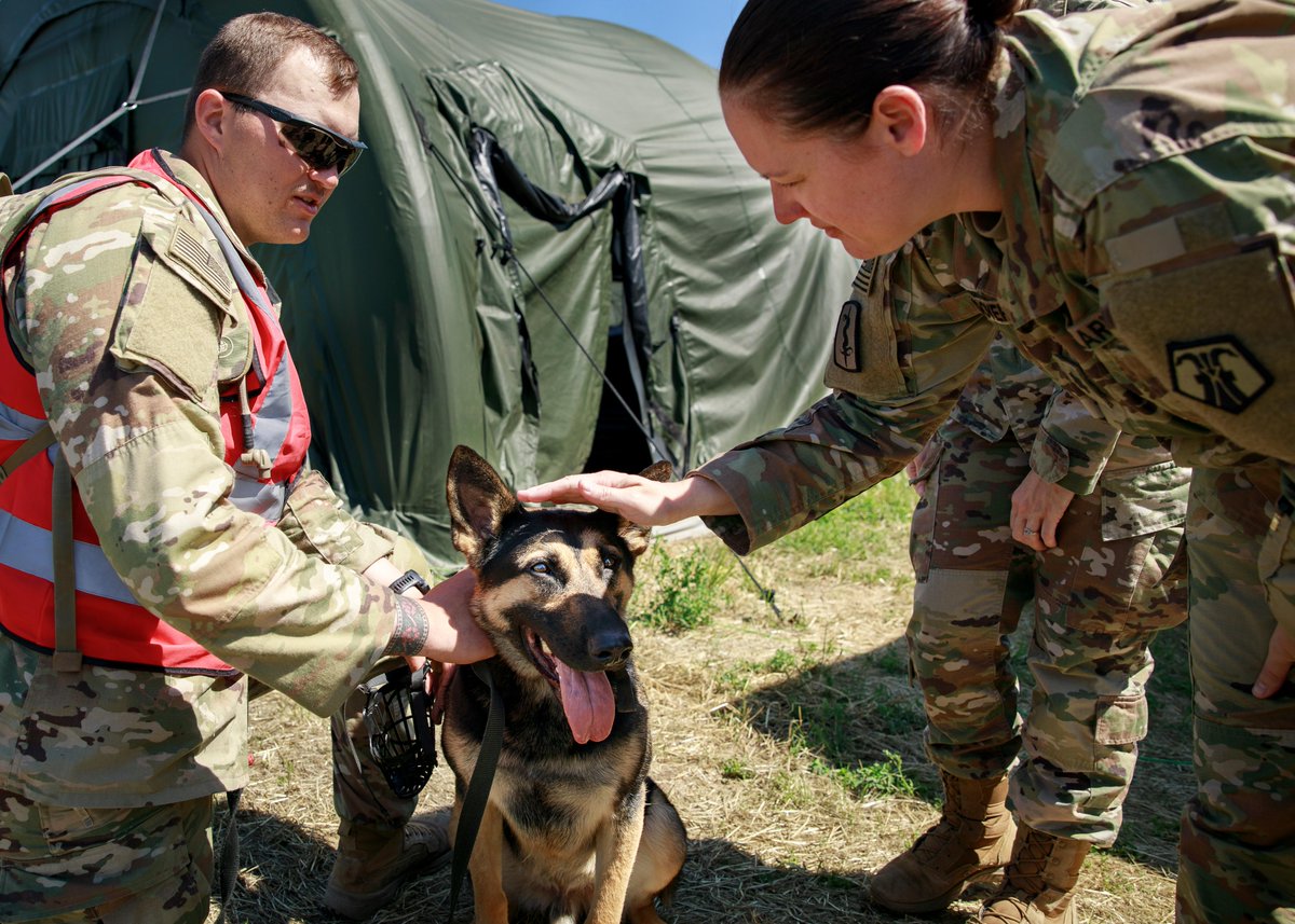 USArmyEURAF's tweet photo. On #FurFriday, meet @USArmy Sgt. Hugo, a military mine detection dog, and his handler, Spc. Burner.
The duo recently participated in #SaberGuardian 23's #HOSPEX, where Hugo was treated for simulated injuries at Mihail Kogalniceanu, Romania.
#MakingaDifference #BeAllYouCanBe https://t.co/gR3zFF6Oow