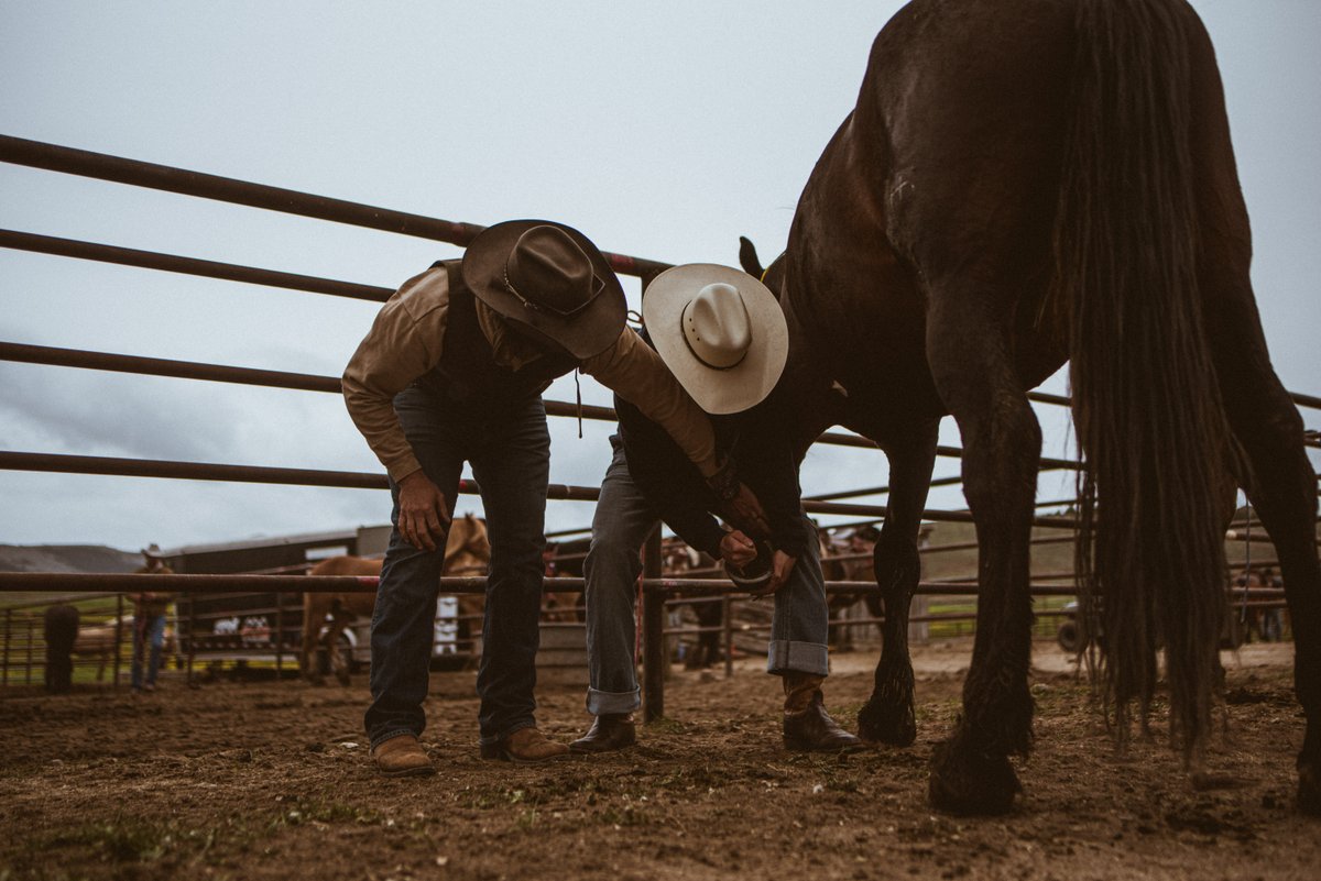 Day 05: Asking questions does not lead to answers. It only leads to more questions if we are doing it right. 

#timetowakeup #newvison