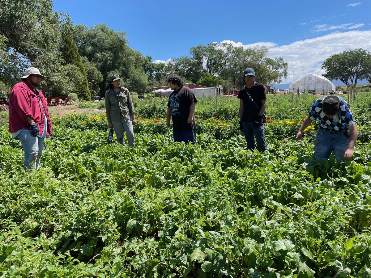 NMoutdoorrec's tweet photo. The 2023 #OutdoorEquityFund application is now open! We are excited for the next generation of young New Mexicans to embark on outdoor adventures.
Link in bio
📸Youth Works, 2022 Awardee
#OutdoorEquity #OEF #NMOutside #NMORD #ORD #EquityFundFriday #OutdoorAccess #NMOutdoorRec https://t.co/Cp0veKt9cZ
