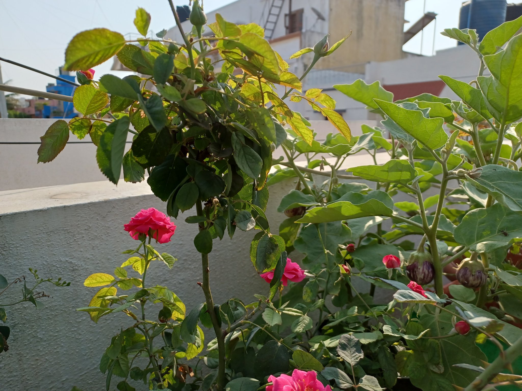 Sandhya (@s_spadma) / Twitter