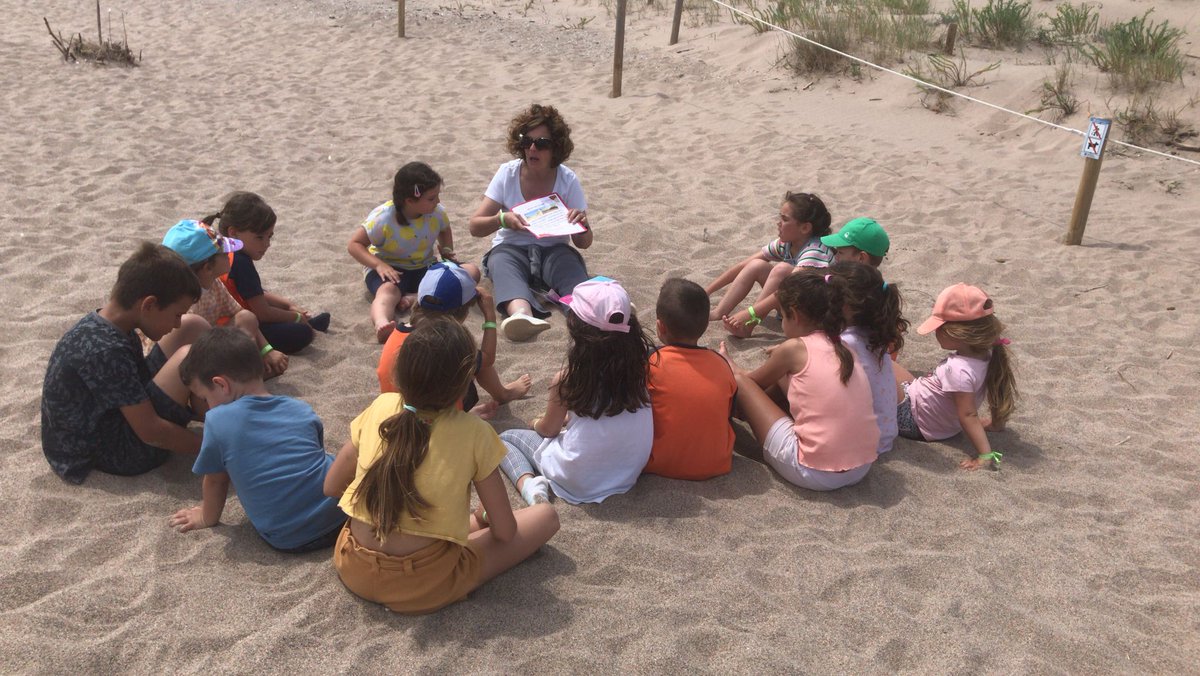 Escola Vall-llobrega tweet media