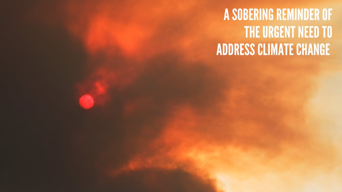 CTDEEPNews's tweet image. The haze enveloping Connecticut this week is a direct consequence of forest fires intensified by climate change. It's a distressing sight that highlights the pressing need for action to combat #climatechange &amp;amp; protect our health and futures.
#Pollution #ClimateAwareness