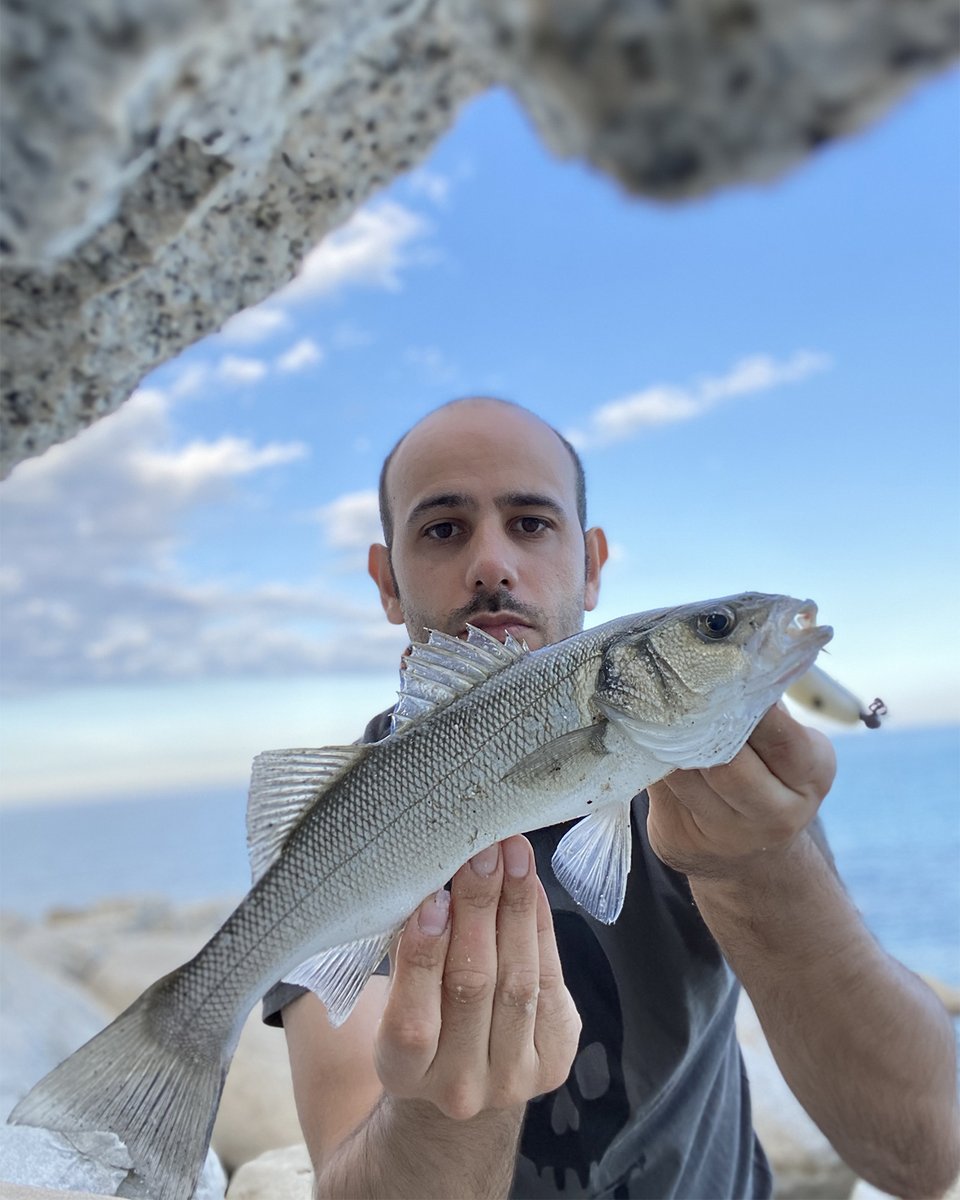 Pendolino Rig System per Marco Cangini!
​
seaspin.com

#seaspin #utopiatackle #lures #saltwaterfishing #spinning #fishinglures #fishingtackle #fishing #bigfish #seafishing