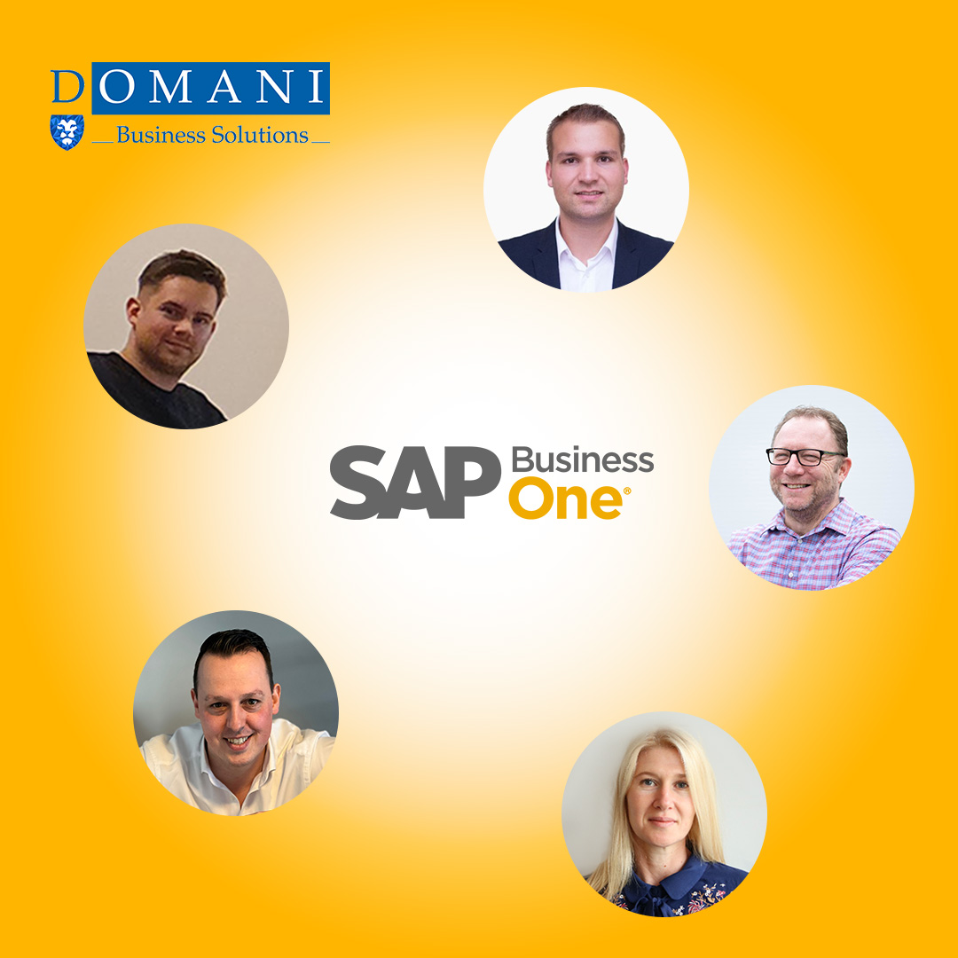 Domani Business Solutions tweet media