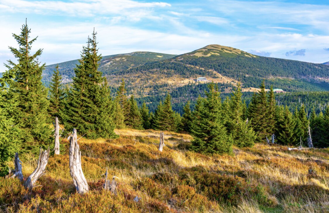 📢 #Treering community 🌲💍! Few places left at the 33rd European Dendroecological Fieldweek wsl.ch/dendrofieldweek, Sep 10-17, 2023 in the scenic Krkonose Nationalpark, Czechia @Krkonose_eu organized by @WSL_research & @science_charles A wide range of topics & methods covered!