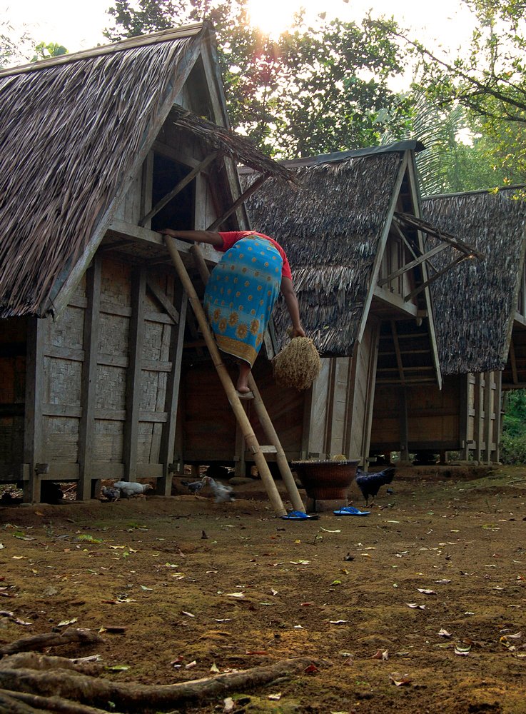 -padi (id) = a traditional building where the farmers store their harvested rice (eng). Ciumbuleuit is a place that used to be rice fields area. So we could've found so many leuit(s) there. The farmers store their harvested rice in the leuits to prepare for drought.