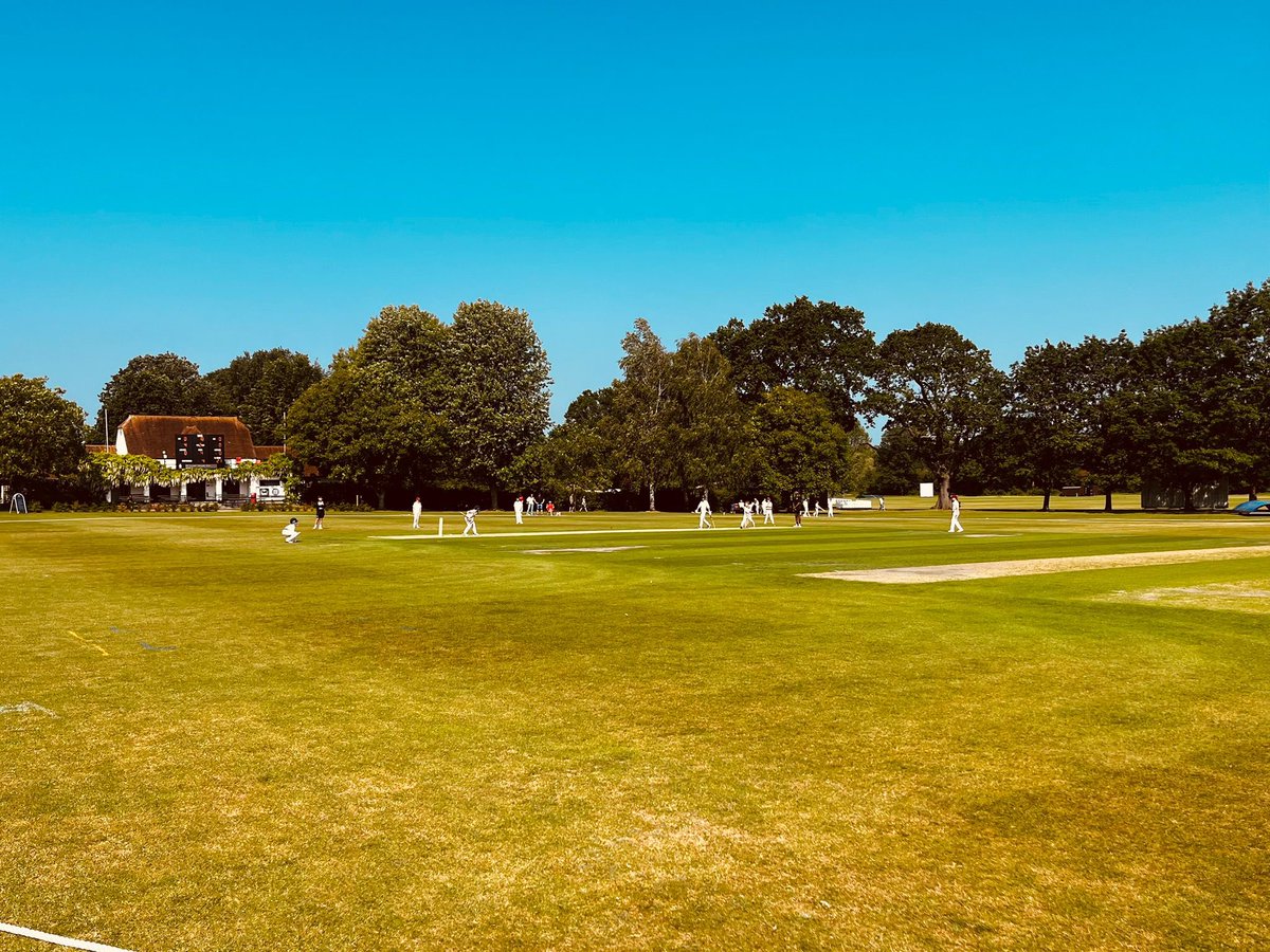 MTS Cricket tweet media