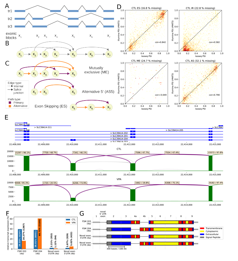 strnr's tweet photo. IsoTools: a flexible workflow for long-read transcriptome sequencing analysis https://t.co/VIrUtH4v7z https://t.co/k3rtWBvrom