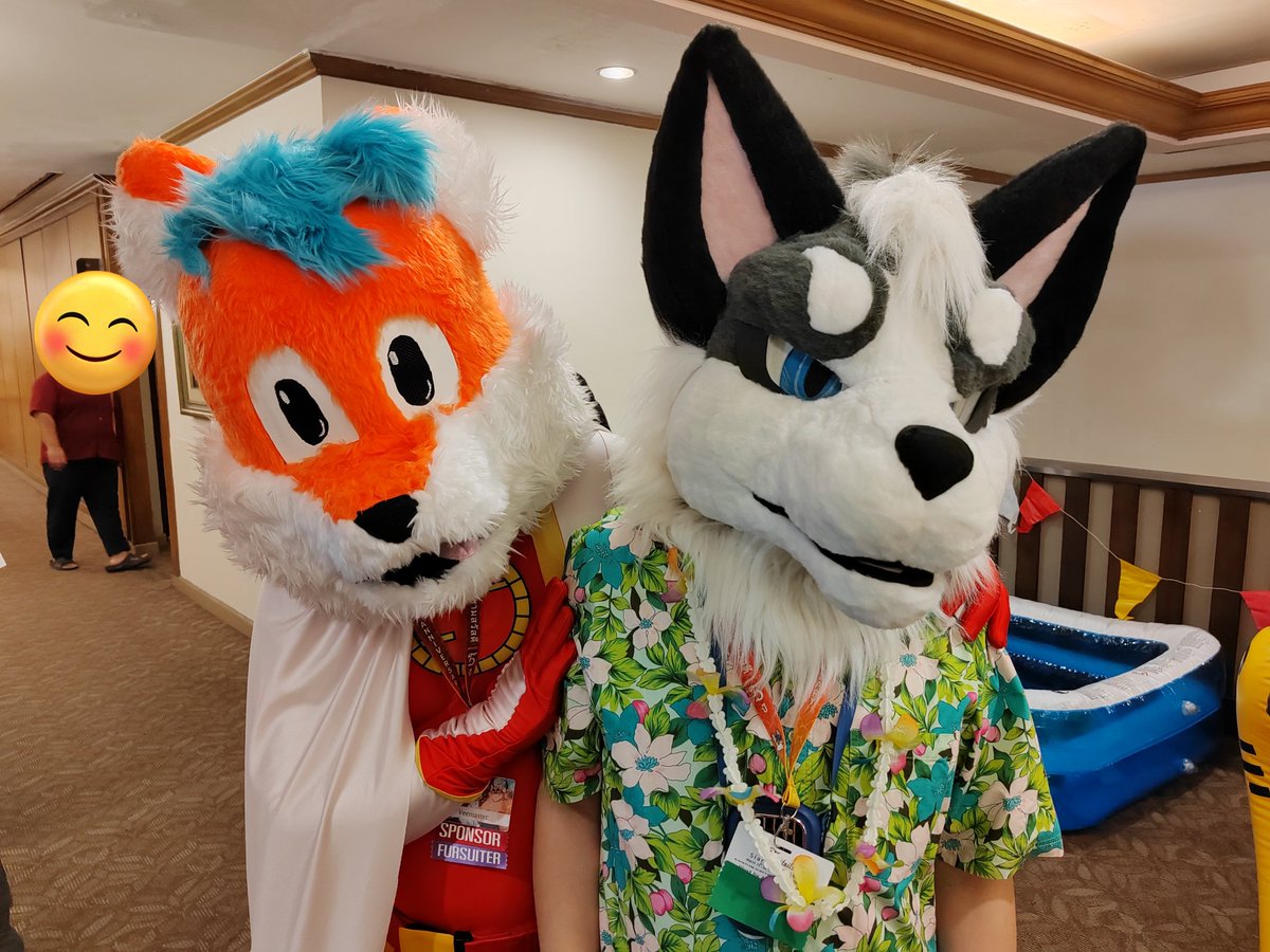 Maru & Mirua furry tweet media