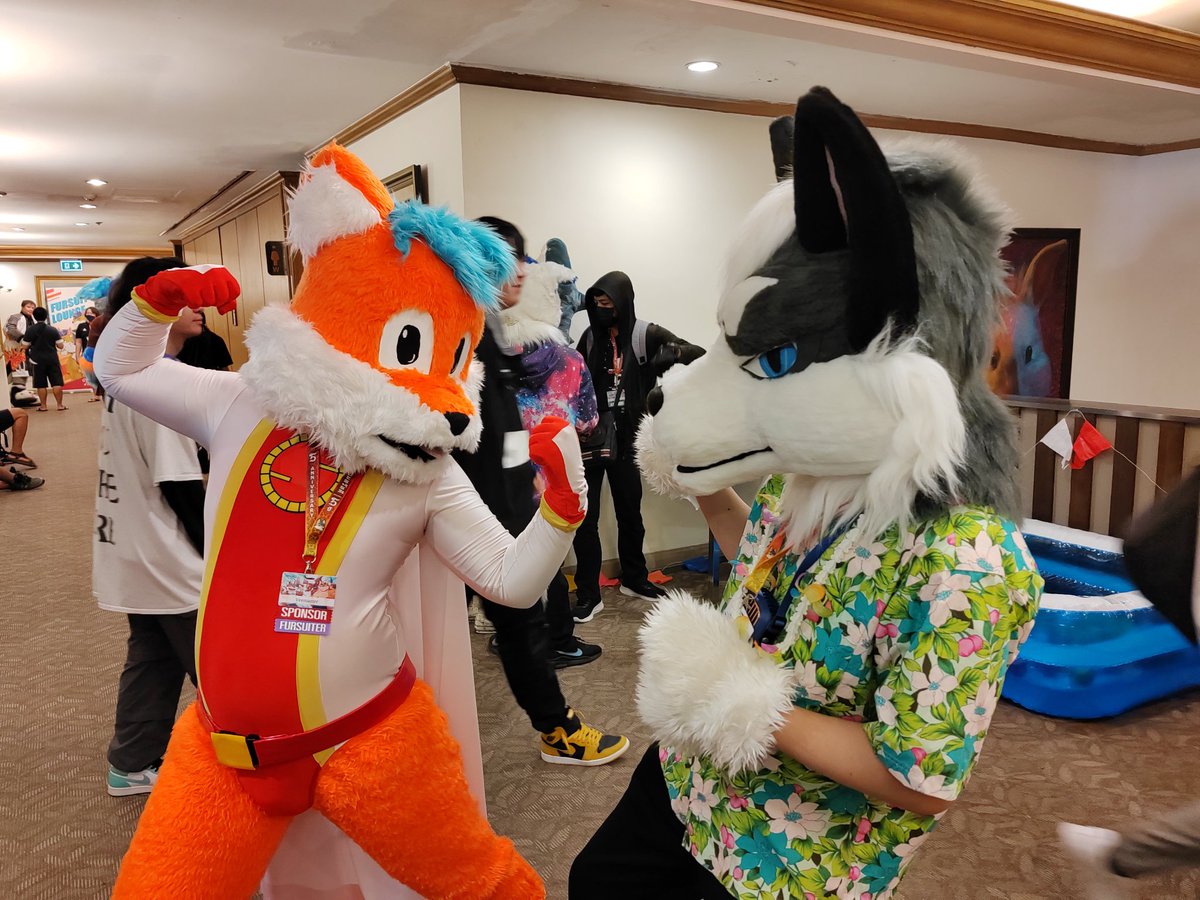 Maru & Mirua furry tweet media