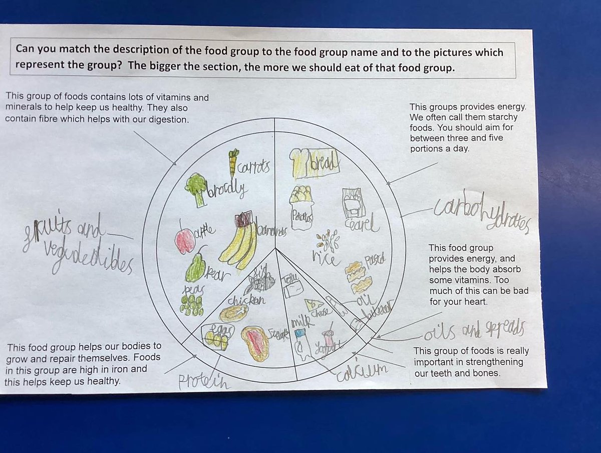 3Turtles worked really hard this afternoon in Science learning about the different food groups for a balanced diet.